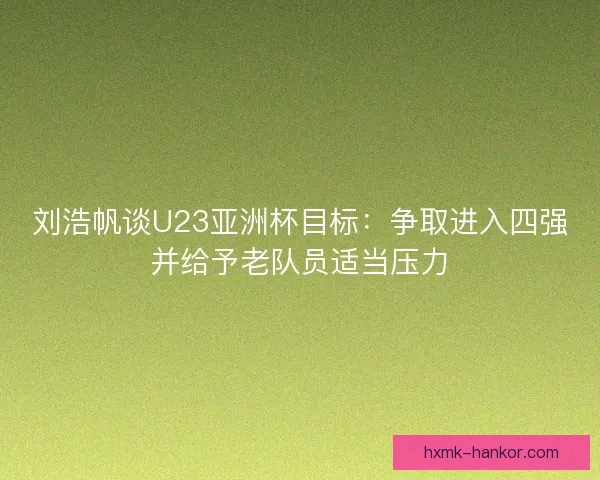 刘浩帆谈U23亚洲杯目标:争取进入四强并给予老队员适当压力 刘浩帆谈U23亚洲杯目标:争取进入四强并给予老队员适当压力